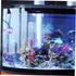 Aquarium Light Fish Tank Spotlight, Underwater LED Spotlight with Suction Cup Lamp for Fish Tank Supplies