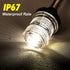 White LED Fold Down Boat Stern Light, Boat Anchor Light for Fishing and Pontoon Boat (12")