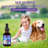 2PCS Immune 120 ml/4 Oz Dog Antibiotics Support - Natural Antibiotics Care for Dogs Herbal Supplement for Cough Allergy