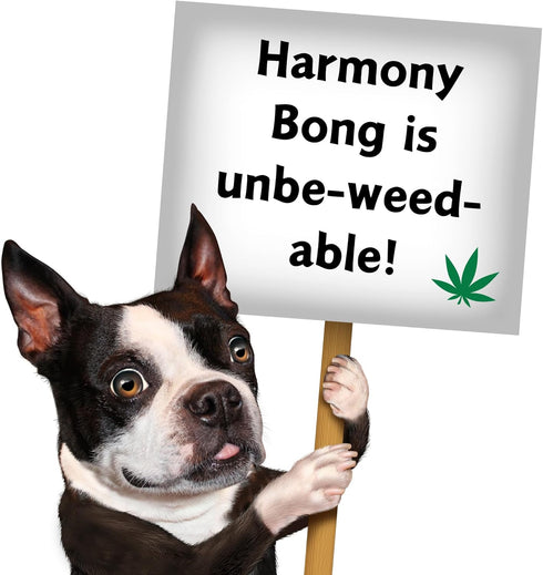 420 My Name is Harmony Bong, Funny Squeaky Weed Dog Toy, Cute Stuffed Parody Pot Bong, Cool Plush Novelty Gift