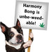 420 My Name is Harmony Bong, Funny Squeaky Weed Dog Toy, Cute Stuffed Parody Pot Bong, Cool Plush Novelty Gift