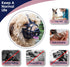 Dog Muzzle - Breathable Basket Muzzles for Small to X-Large Dogs, Stop Biting, Barking, Chewing (L - Black)
