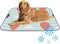 imiBBWQu Dog Cooling Mat Hot Balloon Clouds Orange Water Cooler Mat Washable Dog