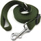 10FT Adjustable Dog Leash, Nylon for Medium Large Dogs, Green