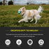 Playology Squeaky Chew Ball for Dogs - All Natural Peanut Butter Scented Toy for Small Dogs (up to 10 pounds) Value