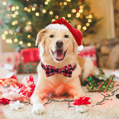 Malier Christmas Dog Collar and Bow Tie, Classic Snowflake Pattern, Light Release Buckle, Small Pet Accessories