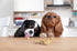 Hive Dog Training Treats 2 Pack — Healthy, Non-GMO Project Verified, Natural Peanut Butter Flavored, Vegetarian, Grain Free Dog Treat for Small and Large Dogs, Made in The USA