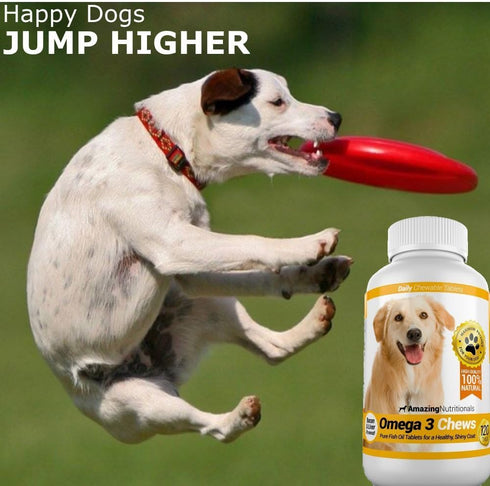 Amazing Omega 3 for Dogs, Fish Oil Supplement for Itchy Skin Relief, 120 Salmon Flavor Chews