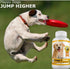 Amazing Omega 3 for Dogs, Fish Oil Supplement for Itchy Skin Relief, 120 Salmon Flavor Chews