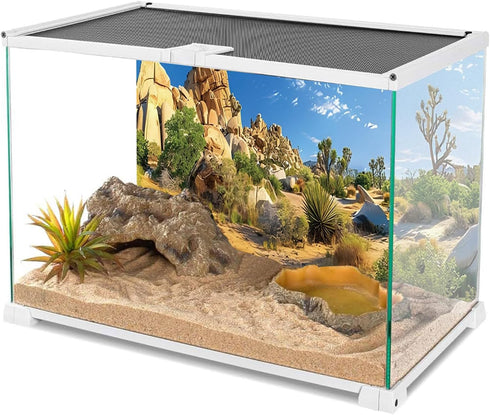 AWERT 48x18 inches Reptile Habitat Background, Stone Blue Sky Oasis Cactus Sun and Desert Terrarium Background