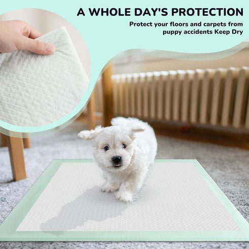 Red Rabbits 100PCS 18" 13" Puppy Pee Pads Disposable Pet Toilet Training Pads x for Dogs, Ultra Absorbent|Quick