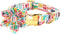 Unique Style Dog Collar with Flower, Adjustable Durable Birthday Collar, Flower Pattern for Small Medium Large Dogs
