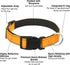 Dog Collars Adjustable for Puppy,Heavy Duty Waterproof Dog Collar with Quick Release Buckle,Girl Boy Female Male Reflective Nylon Dog Collar with Soft Neoprene Padded,XXS,Orange