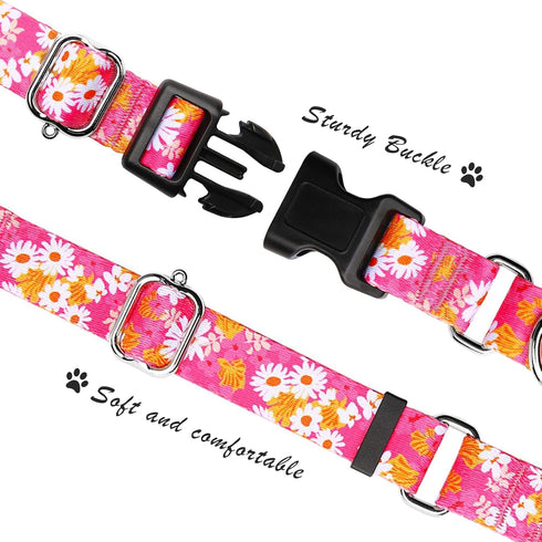 Martingale Collar for Dogs, Cute Floral Dog Collar for Small Medium Large Dogs, Spring Summer Daisy Dog Collars (Hot