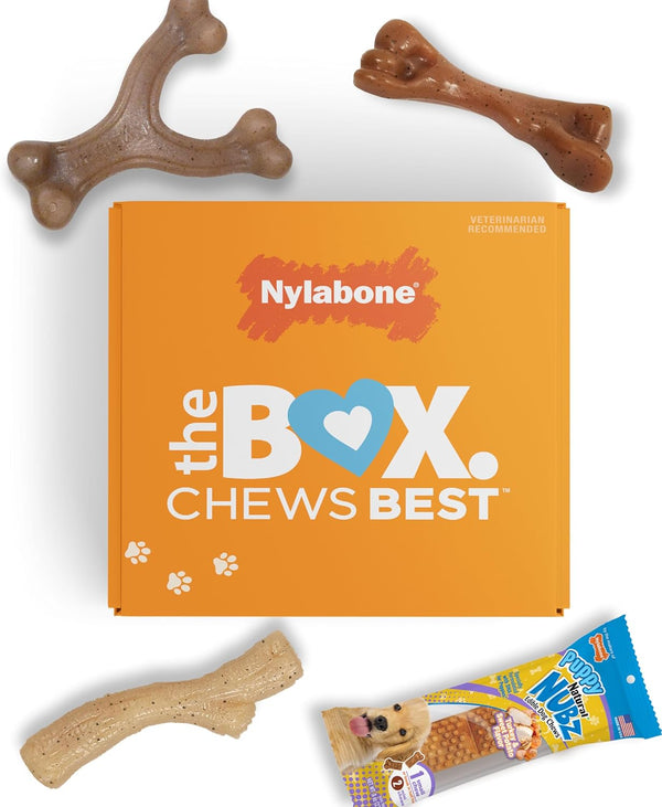 Nylabone Dog Toy Gift Box - 3 Strong Chew Toys and 1 Dog Treat, Chew Toys for Puppies, Small/Regular (4 Count)