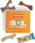 Nylabone Dog Toy Gift Box - 3 Strong Chew Toys and 1 Dog Treat, Chew Toys for Puppies, Small/Regular (4 Count)