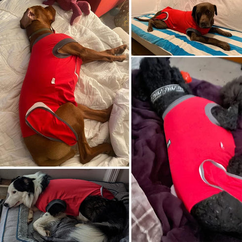 Red L Dog Recovery Suit, After Surgery Cone Alternative for Male & Female Dogs