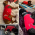 Red L Dog Recovery Suit, After Surgery Cone Alternative for Male & Female Dogs