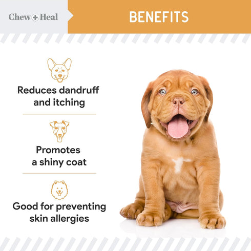 Salmon Oil for Dogs - 60 Soft Chew Omega Treats for Skin and Coat, Fish Oil Blend of Essential Fatty Acids, Made in USA