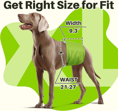 5 Pack Pet Soft Dog Diapers Male, Male Dog Belly Bands, High Absorbing Washable Males Dog Wraps for Doggie