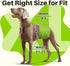 5 Pack Pet Soft Dog Diapers Male, Male Dog Belly Bands, High Absorbing Washable Males Dog Wraps for Doggie