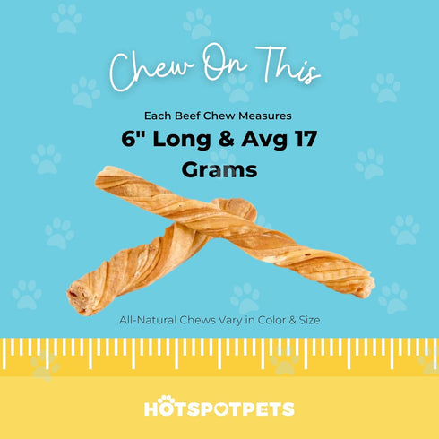 hotspot pets Tripe Twists for Dogs - Premium All Natural Beef Sticks - 6 Inch Rawhide Free Crunchy Chew Treats