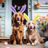 XunYee 8 Pcs Dog Headbands with Bunny Ears, Cute Carrot Rabbit Ears for Dogs, Adjustable Pet Accessories.