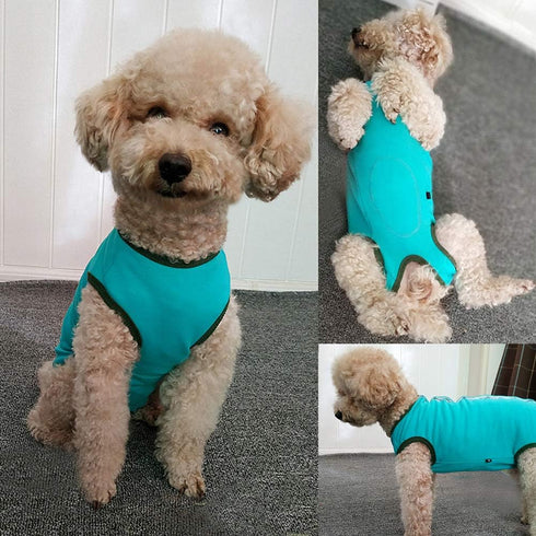 Dog’s Recovery Suit Post Surgery Shirt for Puppy, Wound Protective Clothes for Little Animals (Blue-xs)