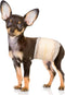 Pet Soft Disposable Male Dog Wraps - Dog Diapers for Male Dogs,