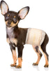 Pet Soft Disposable Male Dog Wraps - Dog Diapers for Male Dogs,