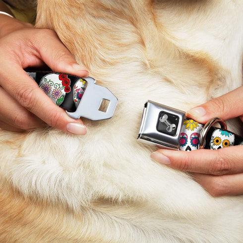 Sugar Skull Outline Dog Collar, Seatbelt Buckle Black Multi Color, 18 to 32 Inches, 1.5 Inch Wide