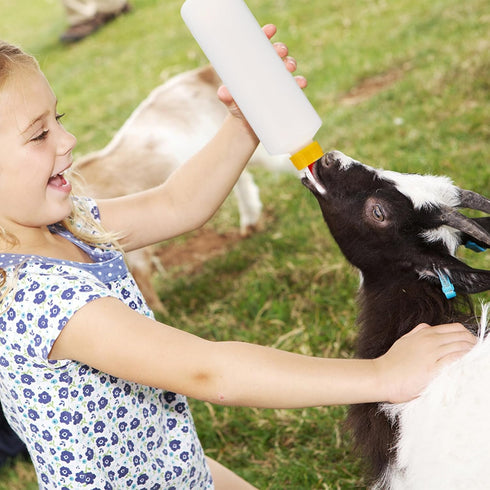 400ml 5PCS Angoily Goat Bottle, Lamb Bottle Goat Feeding, Small Animal Milk Drink for Feeding s, Nursing s Puppies, Pet