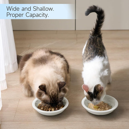 Thicker Ceramic Cat Food and Water Bowls, 3 PCS Whisker Stress Free Cat Dishes, Shallow Pet Food Dish for Cats and