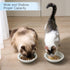 Thicker Ceramic Cat Food and Water Bowls, 3 PCS Whisker Stress Free Cat Dishes, Shallow Pet Food Dish for Cats and