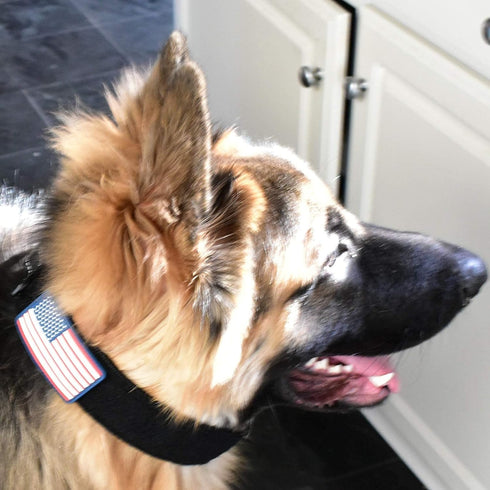 Tactical Dog Collar 2 Inch Wide Heavy Duty with Metal 2-Pin Buckle for Medium, Large & XL Dogs, Reflective