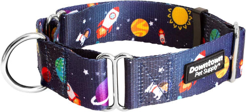 Downtown Pet Supply Martingale Collar for Dogs, Big Wide Thick Dog Training Collar, Escape-Proof, Space, Large