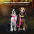 Illumiseen LED Light Up Dog Leash, Ultra High Visibility, USB Rechargeable, 3 Lighting Modes, Padded Handle