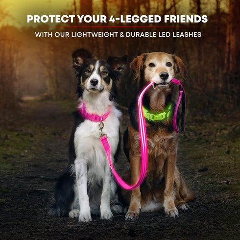 Illumiseen LED Light Up Dog Leash, Ultra High Visibility, USB Rechargeable, Padded Handle, 3 Lighting Modes