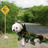 Alligator Dog Costume, Funny Croc Costume for Small to Large Dogs, Halloween Cosplay Dress