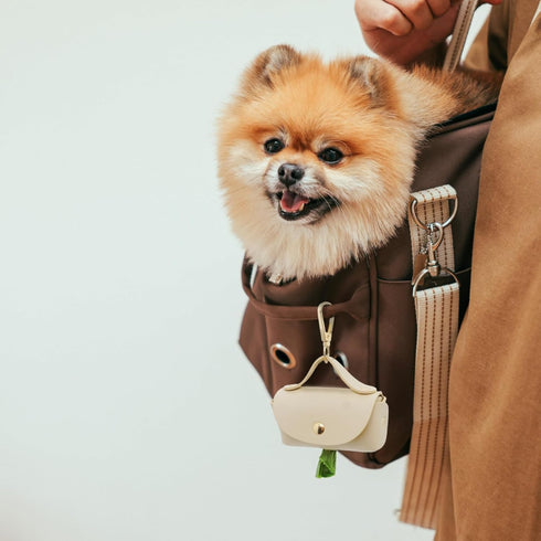 Leather Poop Bag Holder Dispenser for Leash, Portable Reusable Dog Poop Bag Holder for Walking and Outdoor (Beige)