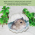 2 LB Chinchillas Hamiledyi Hamster Bath Sand Dust Free Desert Sand Gerbil Powder Grooming Bath Potty Litter for Gerbil