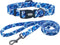 Ovale Dog Collar and Leash Combo Set, Adjustable Collar with 5 ft Matching Leash for Small Puppy Dogs (XS, Blue