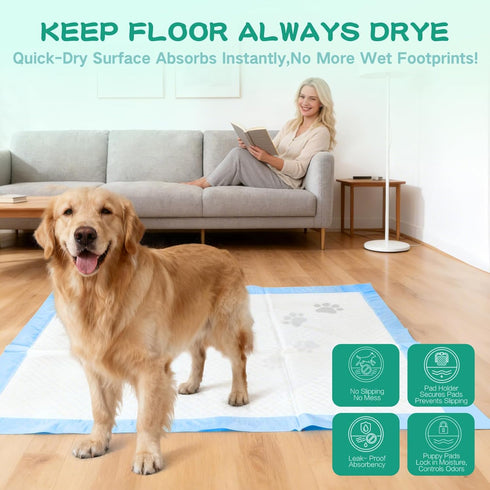 ZTAICOMGO 23inx35in 40 100pcs 6-Layer Diaper Pee Pads for Dogs, Extra Large Disposable Training Pads pc Plus