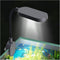 UPETTOOLS Aquarium Light with Adapter - LED Clip on Fish Tank Light, Small Full Spectrum USB Light