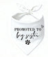 Promoted to Big Sister Dog Bandana Baby Announcement Dogs Bandanas White Pregnancy