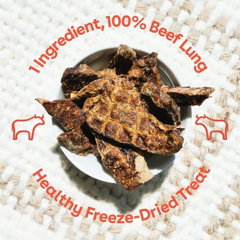 (10 oz) Pupford Steak Strips for Dogs & Puppies - Healthy, Natural, Single Ingredient Freeze Dried Beef Lung Dog Treats