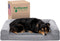 Furhaven Orthopedic Dog Bed, Large/Medium Dogs, Removable Bolsters & Washable Cover, For Dogs Up to 55 lbs, Plush &