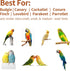 Sarpulo 360 Finches Bird Stand Perch Toy,Parrot Interactive Rotating Toy,Bird Stand Perch Toy for Small Medium