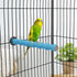 Hypeety Wood Perch Stand Paw Grinding Stick Toy for Bird Cage - Colorful Platform for Parrot Budgies Cockatiels (Random