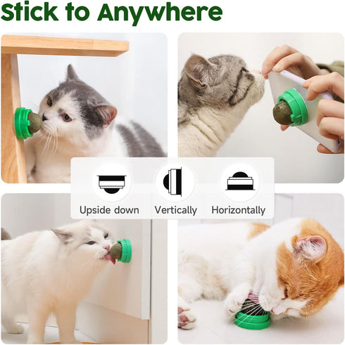 Potaroma Catnip Toys Balls, 4 Pcs Extra Cat Energy Ball, Edible Kitten Silvervine Toys for Healthy Teeth